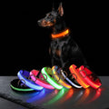 Ultra-Bright LED Night Safety Dog Collar - 360° Nighttime Visibility