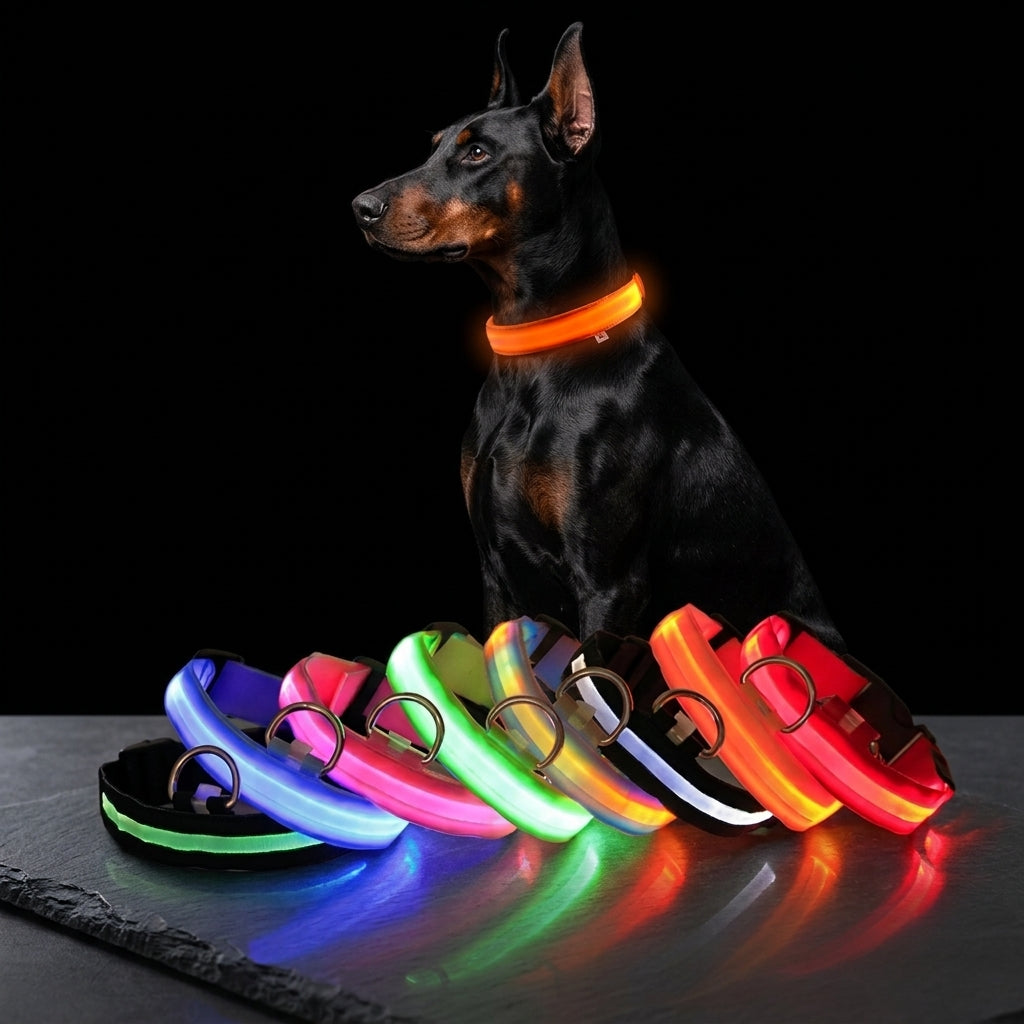 Ultra-Bright LED Night Safety Dog Collar - 360° Nighttime Visibility