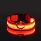 Ultra-Bright LED Night Safety Dog Collar - 360° Nighttime Visibility