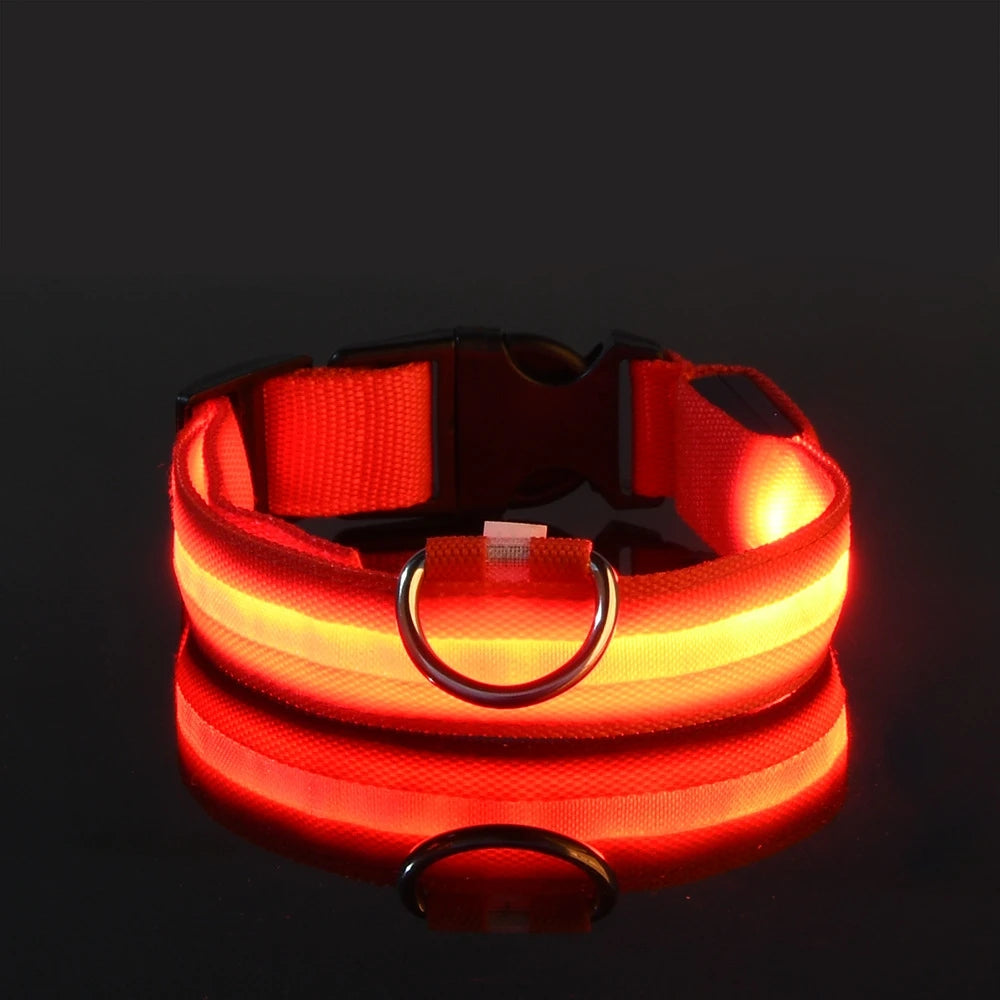 Ultra-Bright LED Night Safety Dog Collar - 360° Nighttime Visibility