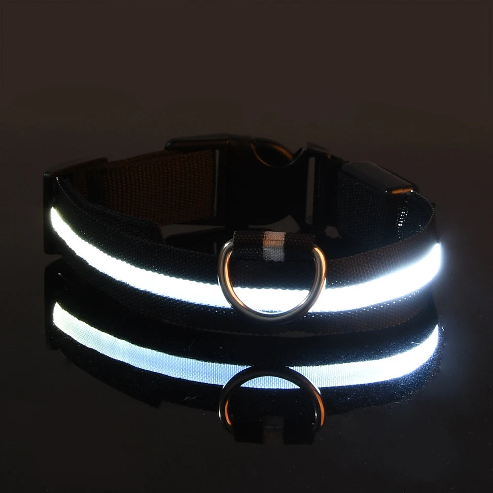Ultra-Bright LED Night Safety Dog Collar - 360° Nighttime Visibility