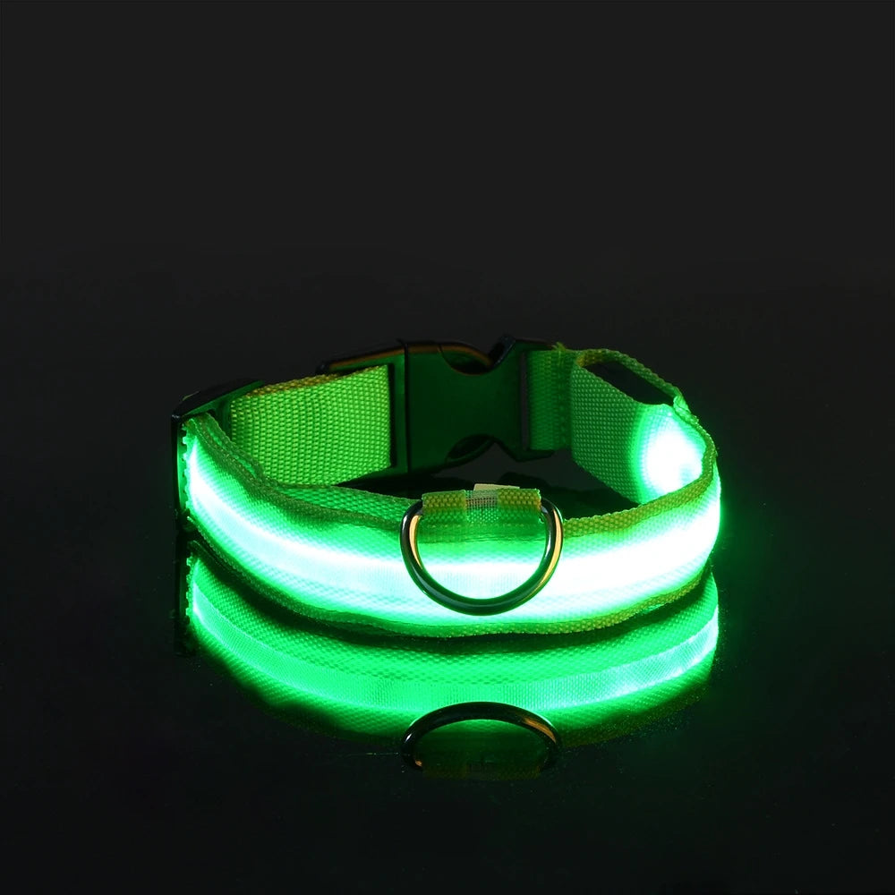 Ultra-Bright LED Night Safety Dog Collar - 360° Nighttime Visibility