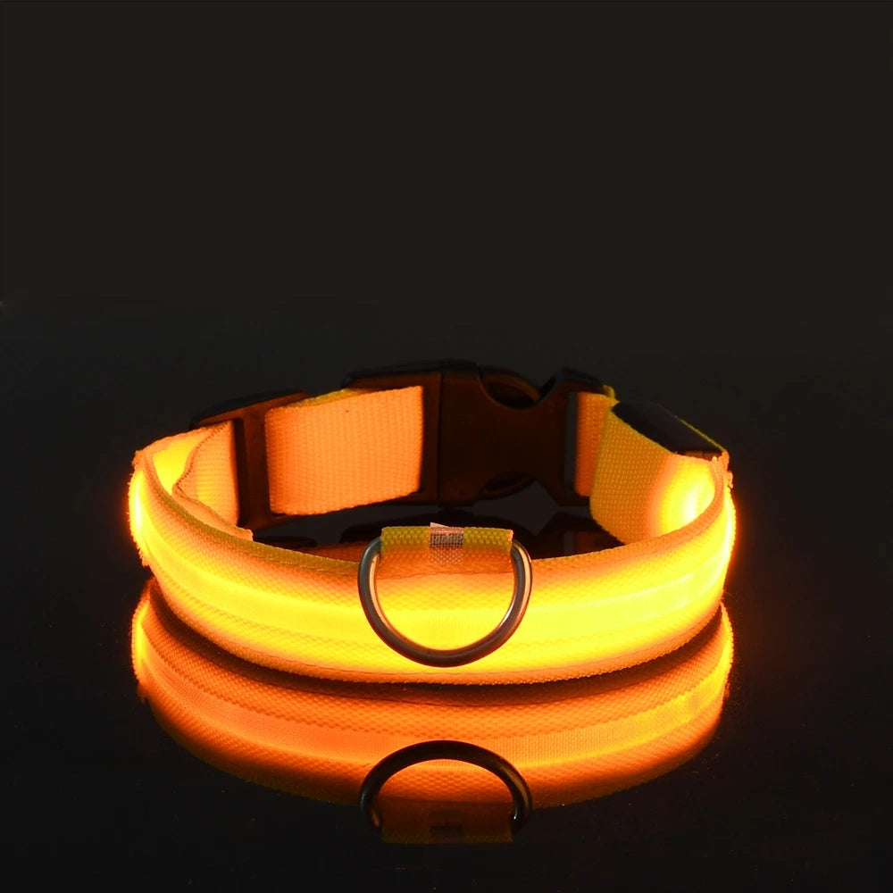 Ultra-Bright LED Night Safety Dog Collar - 360° Nighttime Visibility