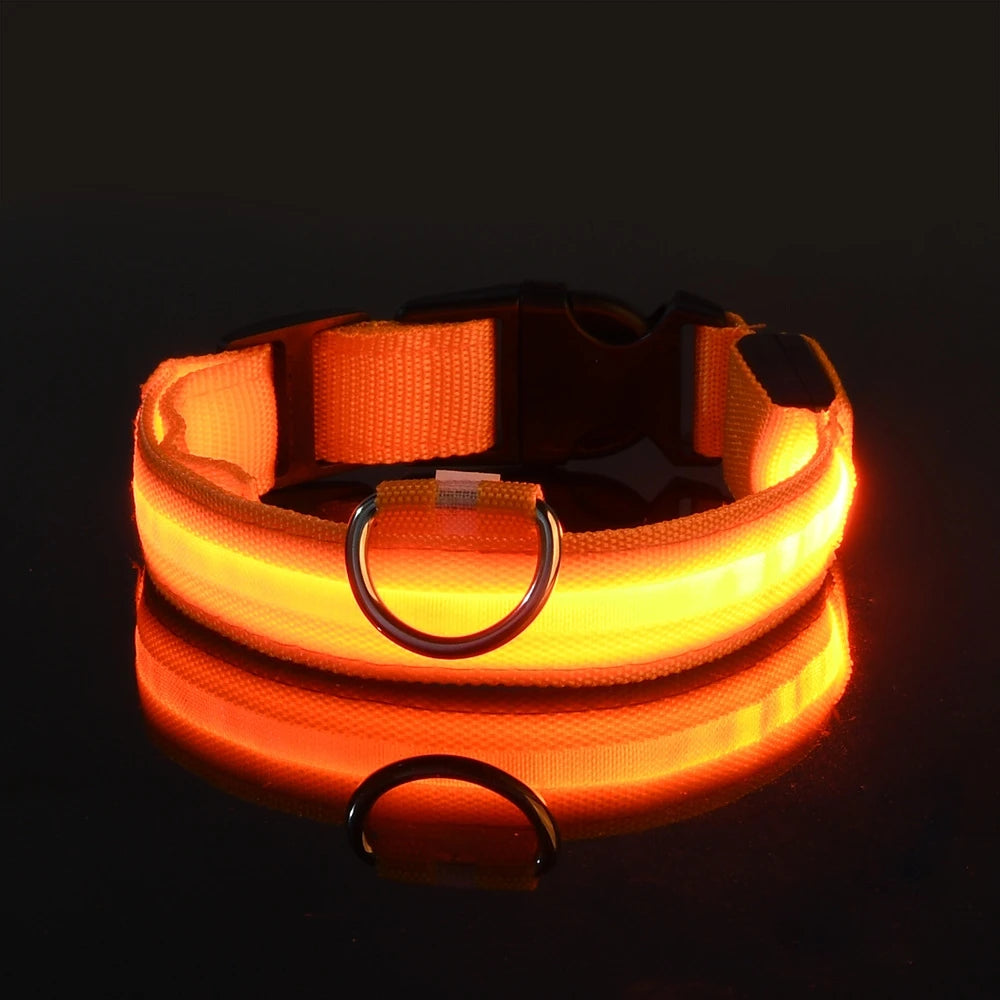 Ultra-Bright LED Night Safety Dog Collar - 360° Nighttime Visibility