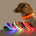 Ultra-Bright LED Night Safety Dog Collar - 360° Nighttime Visibility