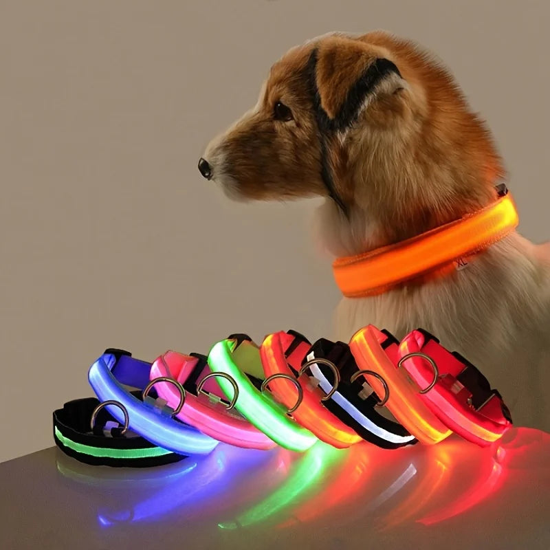 Ultra-Bright LED Night Safety Dog Collar - 360° Nighttime Visibility
