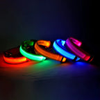 Ultra-Bright LED Night Safety Dog Collar - 360° Nighttime Visibility