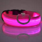 Ultra-Bright LED Night Safety Dog Collar - 360° Nighttime Visibility