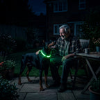 Ultra-Bright LED Night Safety Dog Collar - 360° Nighttime Visibility