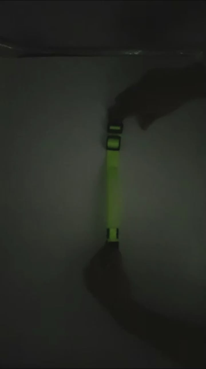Ultra-Bright LED Night Safety Dog Collar - 360° Nighttime Visibility