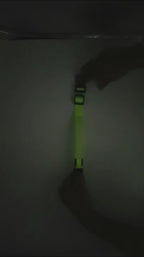 Ultra-Bright LED Night Safety Dog Collar - 360° Nighttime Visibility